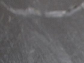 Male Blackhead Mojave 66% het Pied .....140 g .........450,-